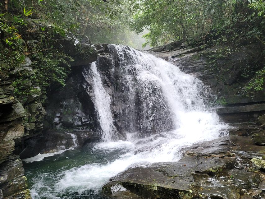 From Da Nang or Hoi An: Bach Ma National Park Trek & Lunch - Why Bach Ma makes a strong day trip from Da Nang or Hoi An