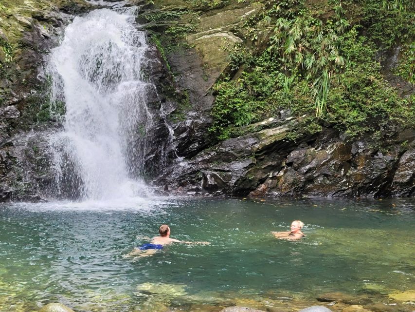 From Da Nang or Hoi An: Bach Ma National Park Trek & Lunch - What the $71 price really includes