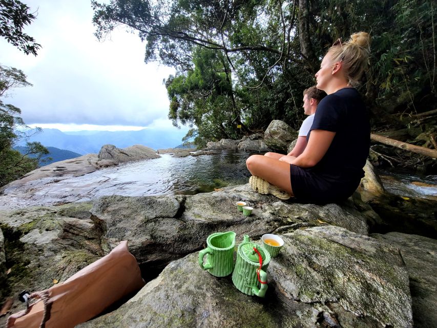 From Da Nang or Hoi An: Bach Ma National Park Trek & Lunch - What to pack for a safer, better day