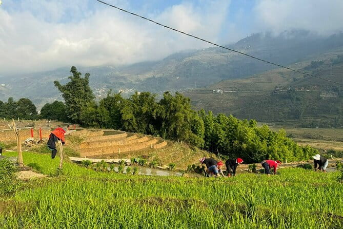 From Hà Nội ; Mu Cang Chai 3 Days 2 Nights By Car and Trekking - Why Mu Cang Chai makes a strong three-day escape