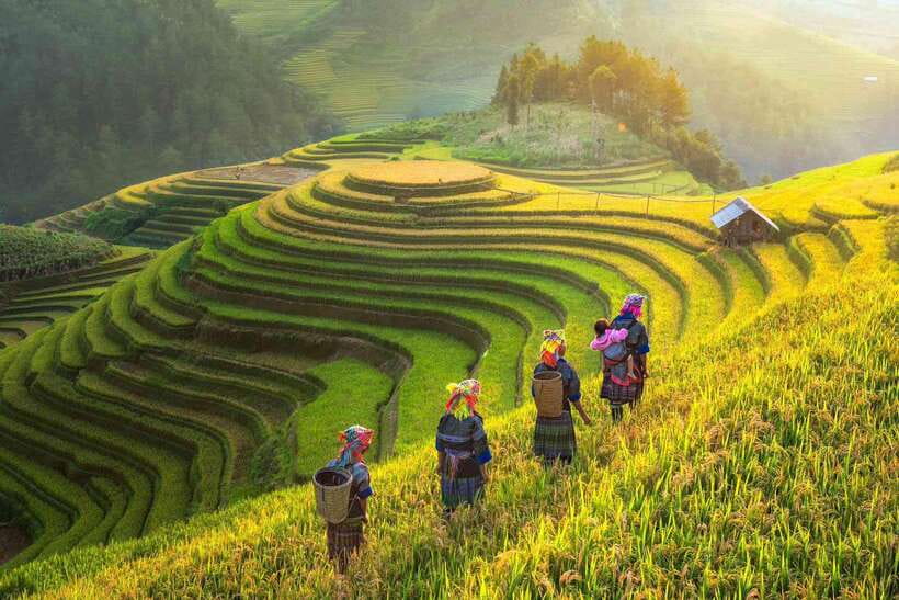 From Hanoi: 1-day Sapa Trekking Tour With Overnight Bus - Who will enjoy this Sapa tour?