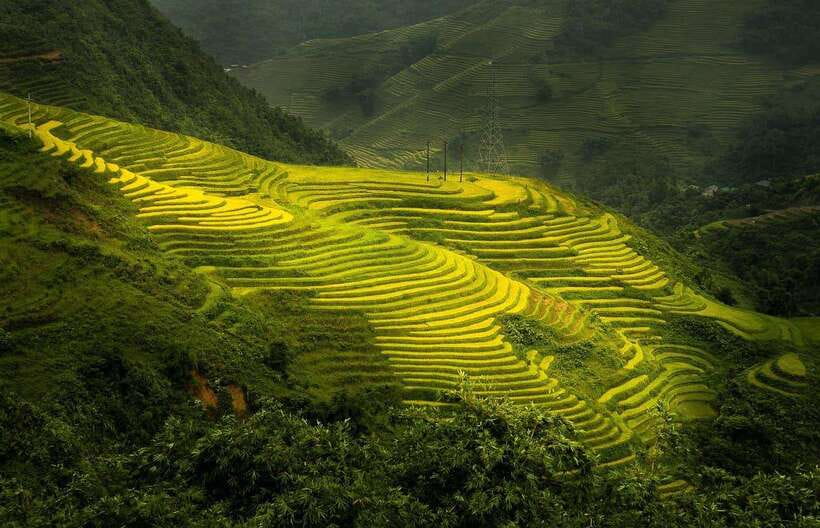 From Hanoi: 1-day Sapa Trekking Tour With Overnight Bus - The overnight bus from Hanoi to Sapa