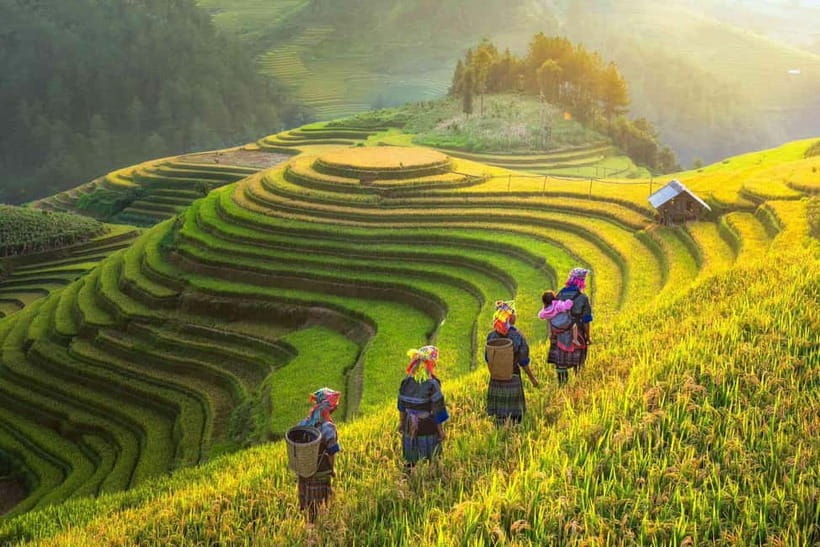 From Hanoi: 2-Day Luxury Sapa Trekking Tour with Homestay - Y Linh Ho and Lao Chai: the first day on foot