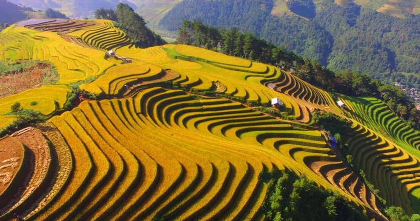 From Hanoi: 2-Day Luxury Sapa Trekking Tour with Homestay - Giang Ta Chai and the Red Dao villages