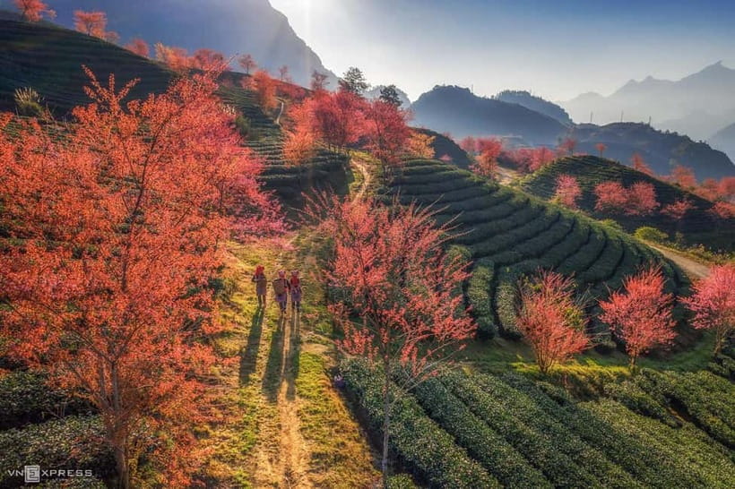 From Hanoi: 2-Day Luxury Sapa Trekking Tour with Homestay - The 9:30 PM sleeper bus from Hanoi