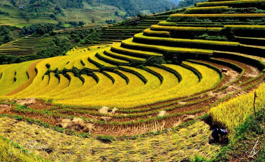From Hanoi: 2-Day Sapa-Fansipan Peak & Trek & Ha Giang Bus - Fansipan by cable car and 600 summit steps