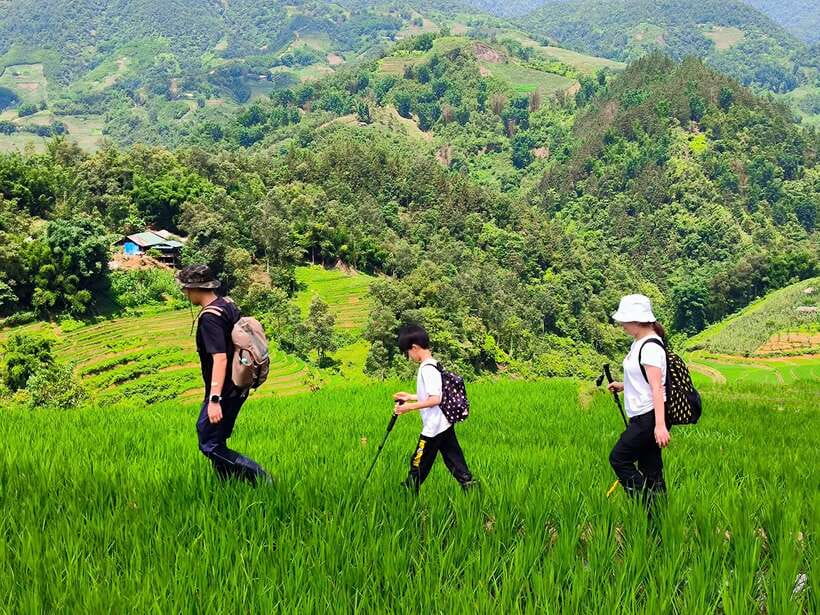 From Hanoi: 2-Day Sapa Trek Tour - Luxury Limousine Transfer - Who Should Book This Sapa Tour?