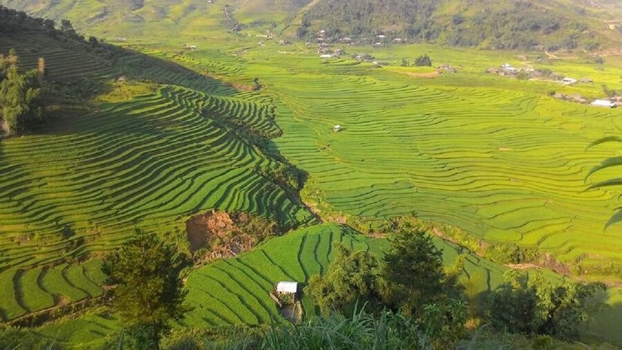 From Hanoi: 2 Day Sapa Trekking To Village & Bungalow, Meals - Key points at a glance