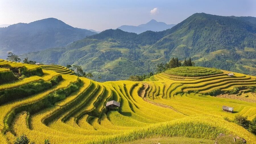 From Hanoi: 2 Day Sapa Trekking To Village & Bungalow, Meals - Staying in Ta Van with a Dzay family