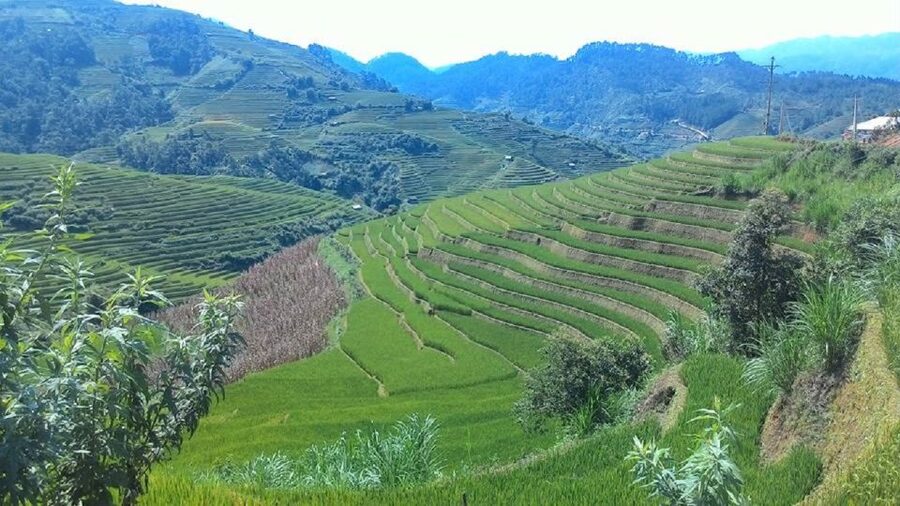 From Hanoi: 2 Day Sapa Trekking To Village & Bungalow, Meals - The shorter walk to Giang Ta Chai