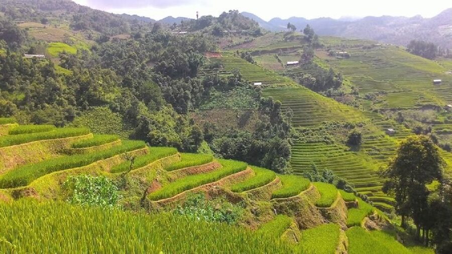 From Hanoi: 2 Day Sapa Trekking To Village & Bungalow, Meals - What the $87 price really covers