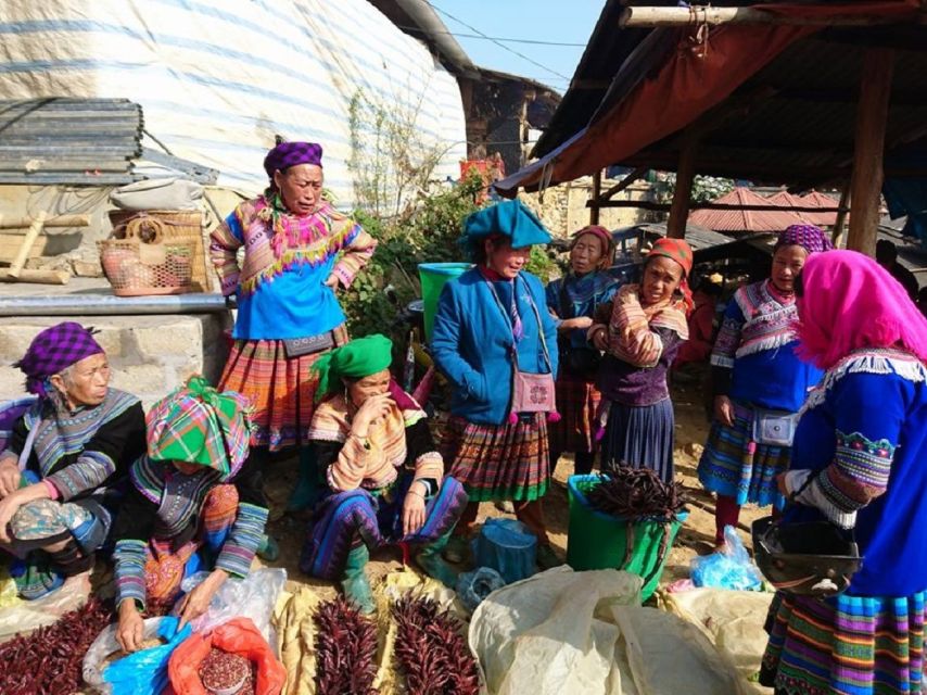 From Hanoi: 2-Day Trekking To Villages In Sapa with Homestay - Should you book this Sapa homestay trek?