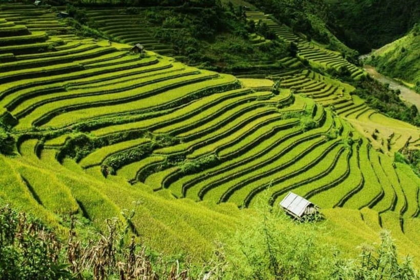 From Hanoi: 2-Days Sapa Trek Lao Chai/Cat Cat, Fansipan Peak - Arriving in Sapa around midday