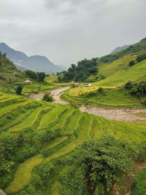 From Hanoi: 2-Days Sapa Trek Lao Chai/Cat Cat, Fansipan Peak - Lunch, then the bus back to Hanoi