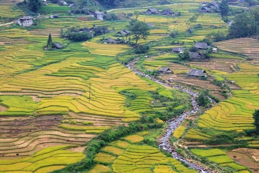 From Hanoi: 2-Days Sapa Trekking Tour Lao Chai and Cat Cat - Key points before you book