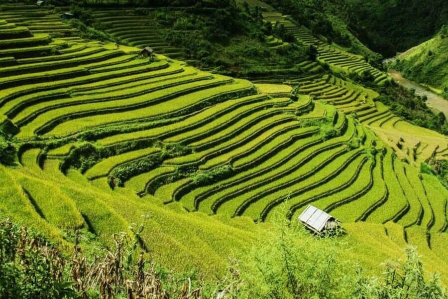 From Hanoi: 2-Days Sapa Trekking Tour Lao Chai and Cat Cat - Why this Sapa trip works in only two days