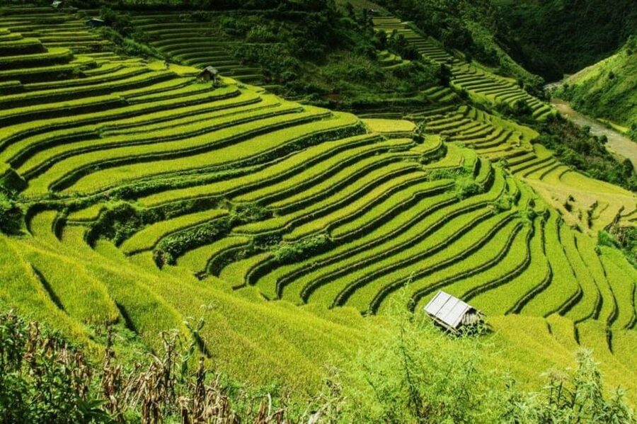 From Hanoi: 2-Days Sapa Trekking Tour Lao Chai and Cat Cat - Cat Cat Village: a short walk with a steep finish