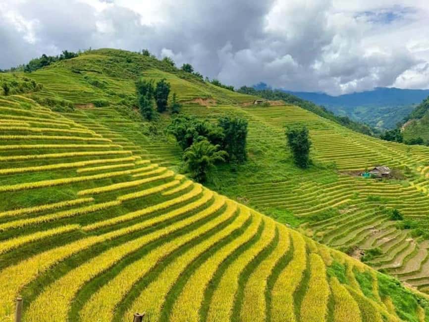 From Hanoi: 2-Days Sapa Trekking Tour Lao Chai and Cat Cat - The return to Hanoi takes most of the afternoon