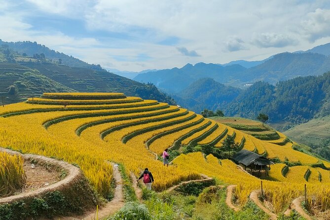 From Hanoi: 2D1N Mu Cang Chai Private Trekking & Homestay - Practical details that matter