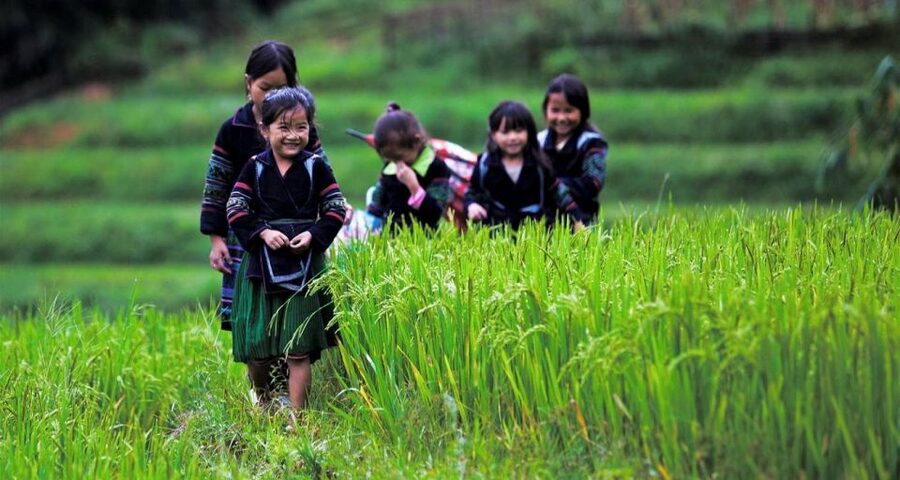 From Hanoi: 3-Day Sapa Trek with Guide, Homestay and Meals - Why This Sapa Trek Is Worth Your Time
