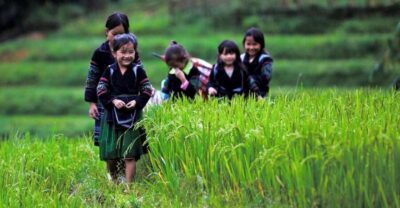3-Day Sapa Trek with Guide, Homestay and Meals