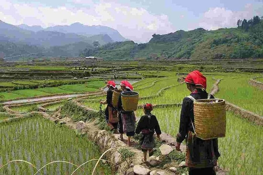 From Hanoi: 3-Day Sapa Trek with Guide, Homestay and Meals - Meeting Black H’mong, Dzay, and Red Dzao Communities