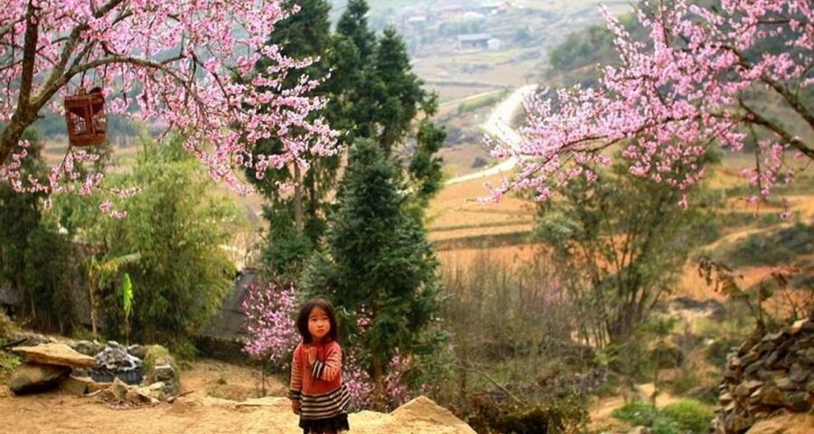 From Hanoi: 3-Day Sapa Trek with Guide, Homestay and Meals - Food, Accommodation, and What the Price Really Covers
