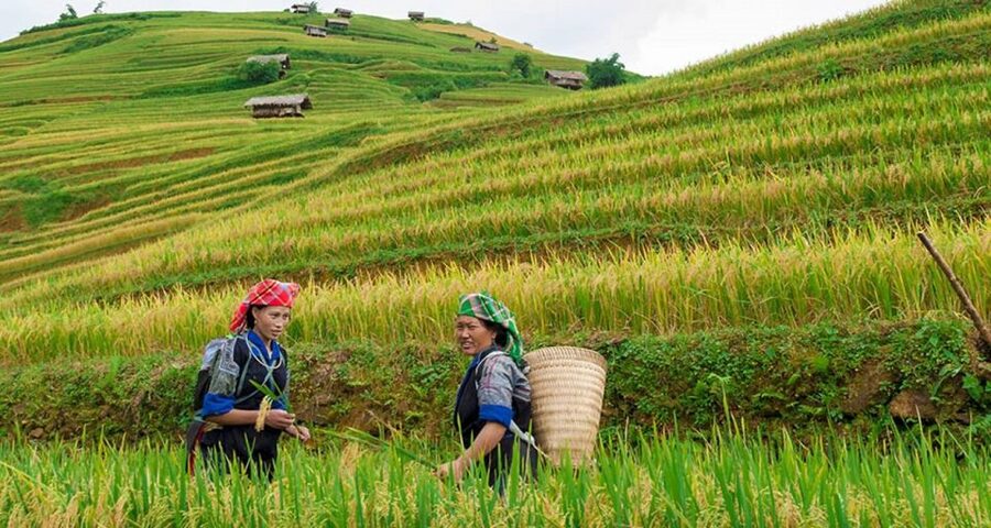 From Hanoi: 3-Day Sapa Trek with Guide, Homestay and Meals - Packing for Sapa’s Weather and Trails