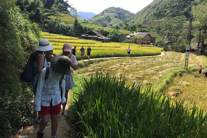 From Hanoi: 3 Days Luxury Sapa Trek & Fansipan Peak with Dcar - Day three: Ham Rong Mountain before the long return