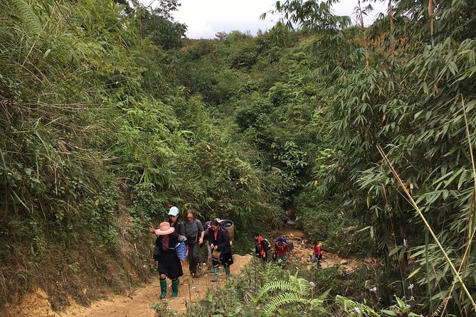 From Hanoi: 3 Days Luxury Sapa Trek & Fansipan Peak with Dcar - The guides and communication are a real advantage