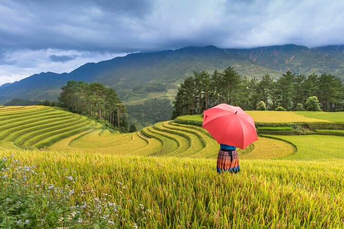 From Hanoi: 3 Days Sapa Trekking & Ethnic Villages by Dcar - Day 2: Cat Cat Village and the optional Fansipan cable car