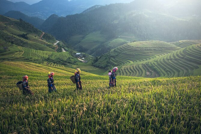 From Hanoi: 3 Days Sapa Trekking & Ethnic Villages by Dcar - Sapa weather, walking, and what to pack