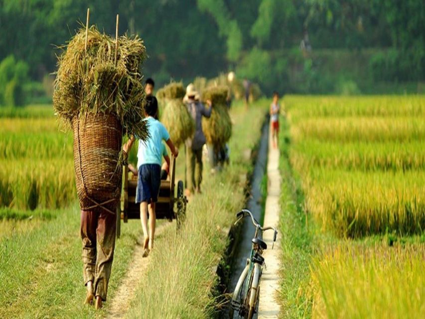 From Hanoi: Mai Chau Valley & Hill Tribes 2-Day Trek Tour - Rice terraces and village life at a slower speed