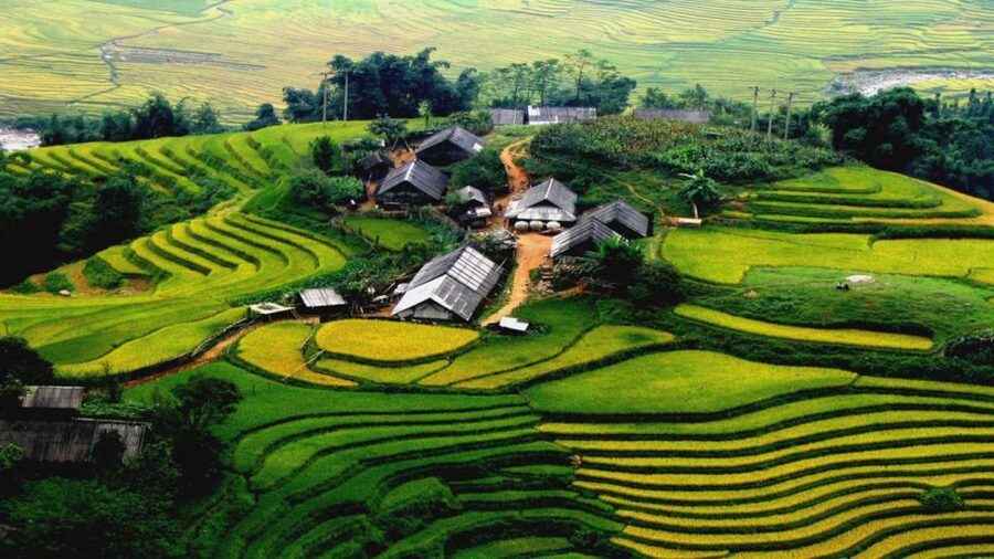 From Hanoi: Sapa 3-Day Medium Trek and Limousine Trip - Day 2: Muong Hoa Valley, Y Linh Ho, Lao Chai, and Ta Van