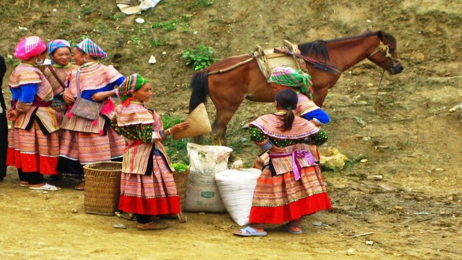 From Hanoi: Sapa 3-Day Medium Trek and Limousine Trip - Day 3: Bamboo forest, waterfall, and Giang Ta Chai