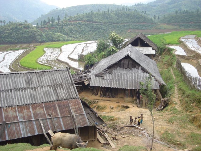 From Hanoi: Sapa 3-Day Medium Trek and Limousine Trip - Transport from Hanoi: useful, comfortable, and not always smooth