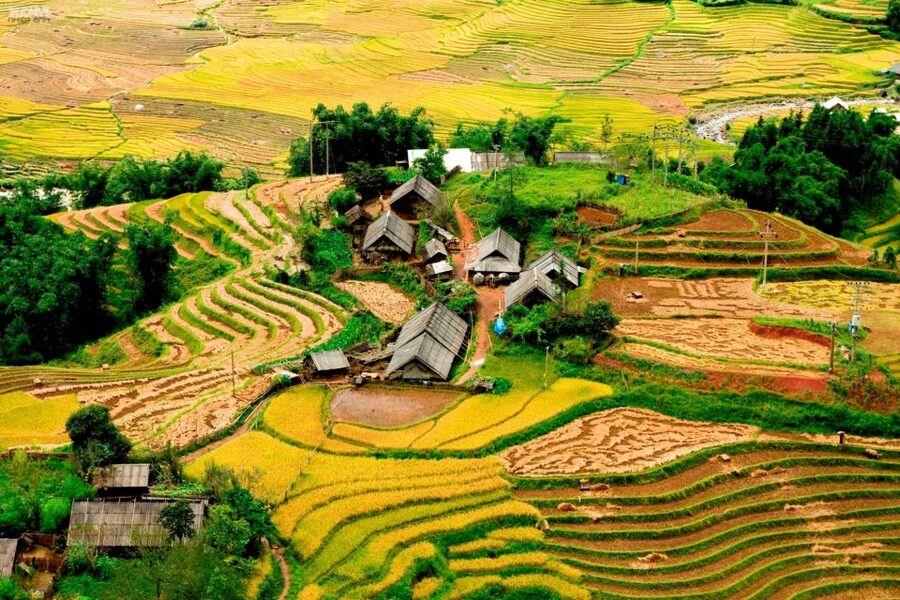 From Hanoi: Sapa 3-Day Medium Trek and Limousine Trip - Day 1: Hanoi to Sapa and a first walk in Sin Chai
