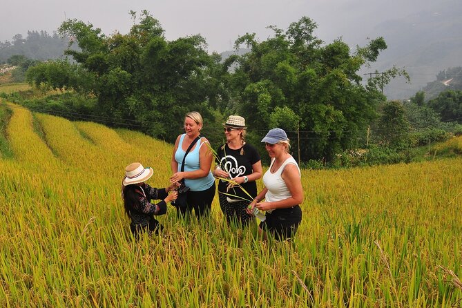 From Hanoi : Sapa Moutain Trek - Halong bay Heritage - Why this four-day route works
