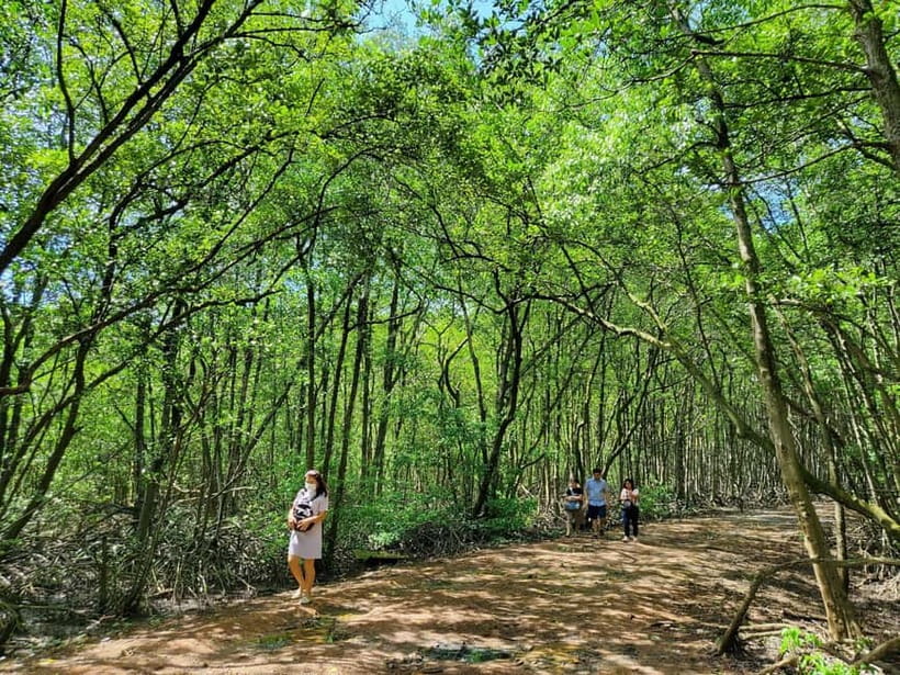 From Ho Chi Minh City: Can Gio Mangrove & Monkey Island Trek - Crocodiles and the Hoa Ca reserve