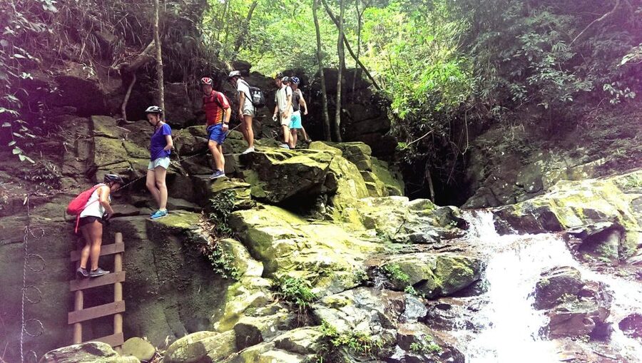 From Hue/Da Nang/Hoi An: Bach Ma National Park Trekking Tour - Key things to know before you book