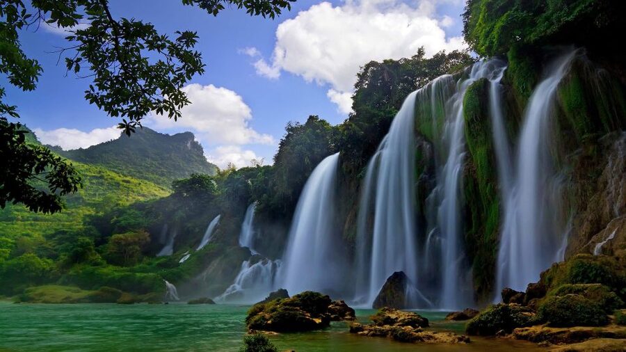 From Hue/Da Nang/Hoi An: Bach Ma National Park Trekking Tour - Picnic lunch beside the forest route