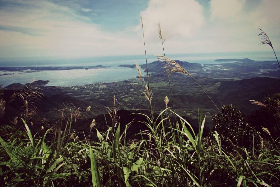 From Hue/Da Nang/Hoi An: Bach Ma National Park Trekking Tour - Reaching Hai Vong Dai Peak