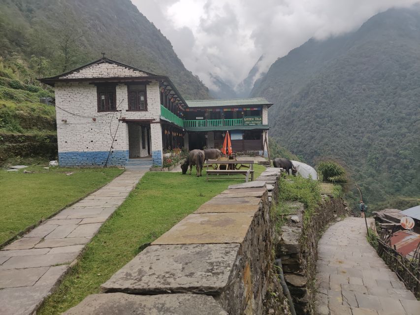 From Kathmandu: 7-Day Annapurna Basecamp Trek - Chomrong, waterfalls, and the first long walking day