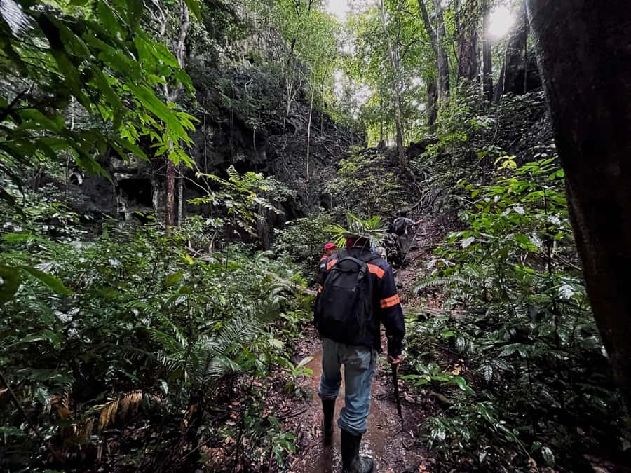 From Khao Sok: Half-Day Rainforest Trek with Local Guides - Key details before you book