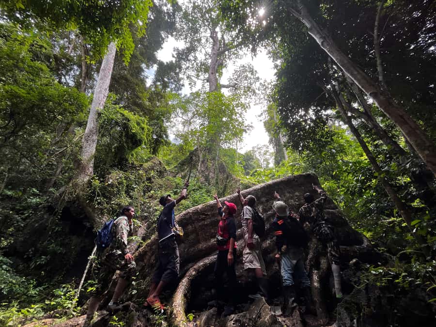 From Khao Sok: Half-Day Rainforest Trek with Local Guides - Starting at Halo Tor Tao near Khao Sok