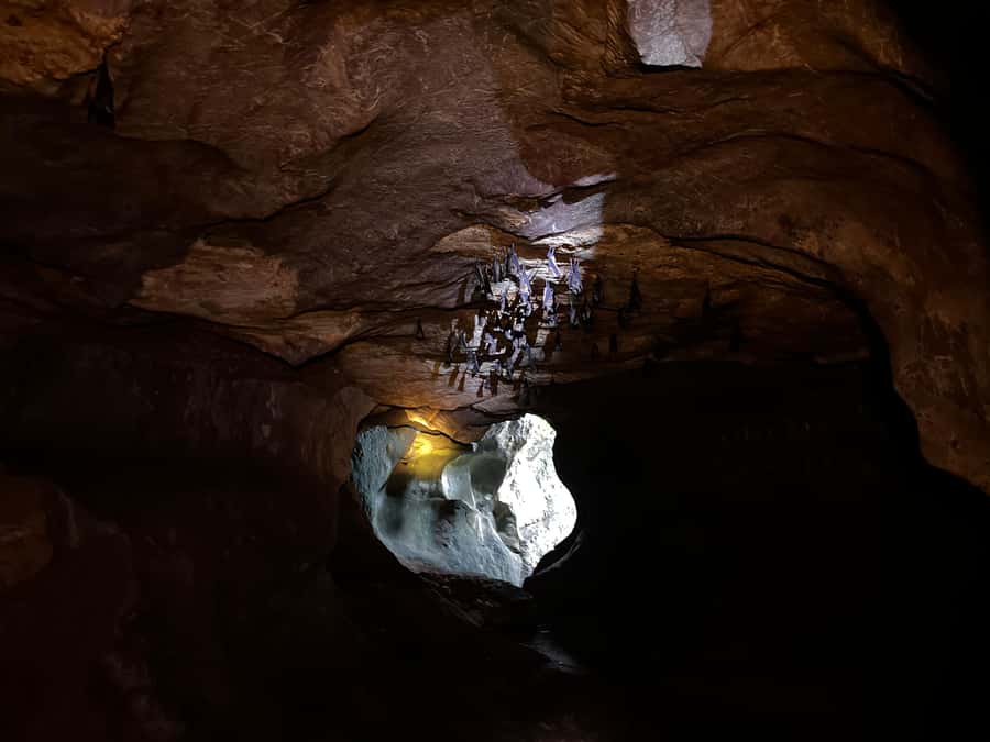 From Khao Sok: Half-Day Rainforest Trek with Local Guides - The possible monkey-and-coconut encounter