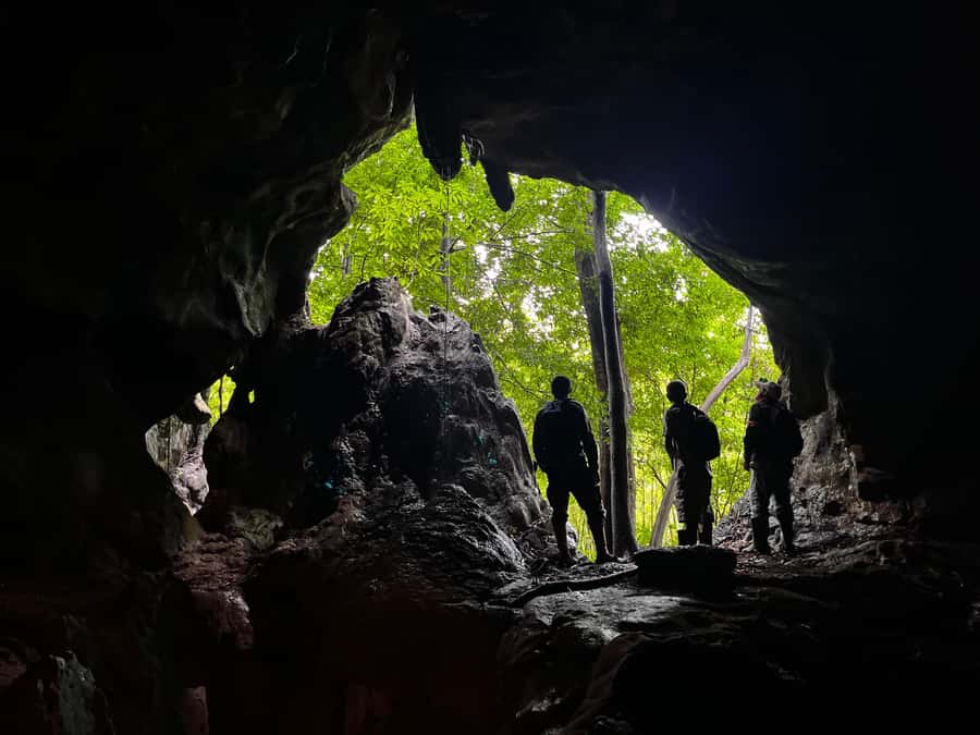 From Khao Sok: Half-Day Rainforest Trek with Local Guides - Caves, rain, and the less predictable route
