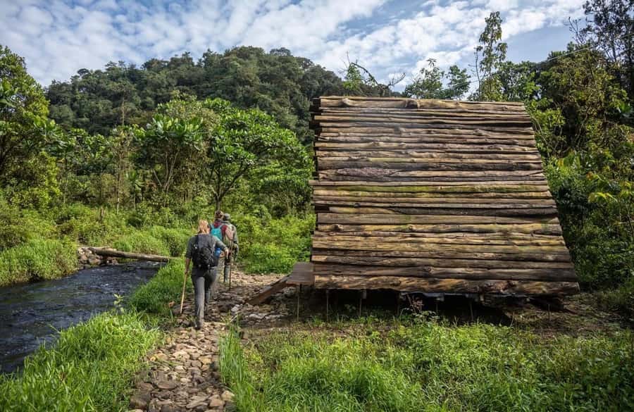 From Kigali: 2 days chimpanzee trekking and canopy walk - Key points to know before booking