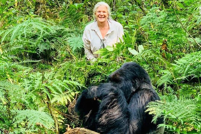 From Kigali: 3 Days Gorillas and golden monkeys trek Adventure - Should you book this Rwanda gorilla and golden monkey tour?