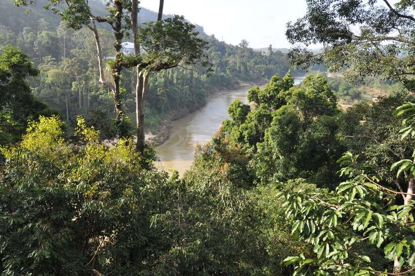 From Kuala Lumpur: Taman Negara National Park Trek Day Tour - Key points before you book